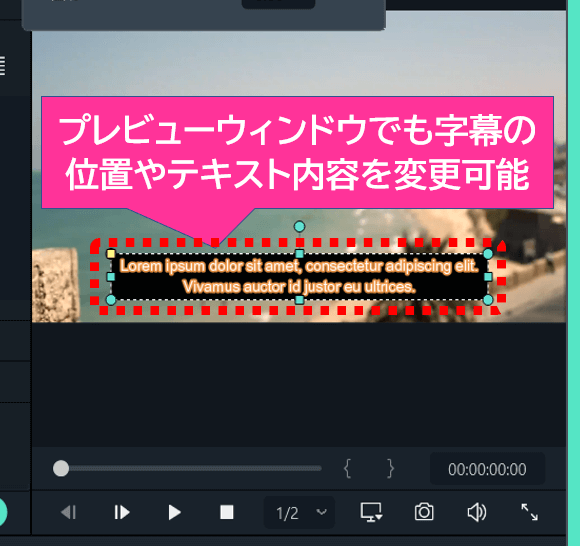 プレビューウィンドウで字幕を編集