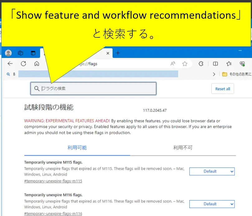 Show feature and workflow recommendationsを検索