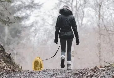 犬が認識された