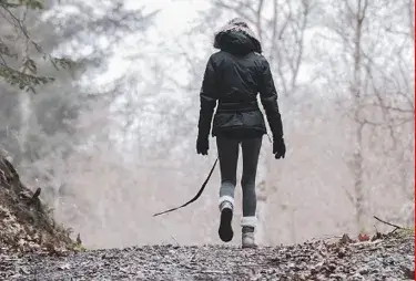 犬が削除された